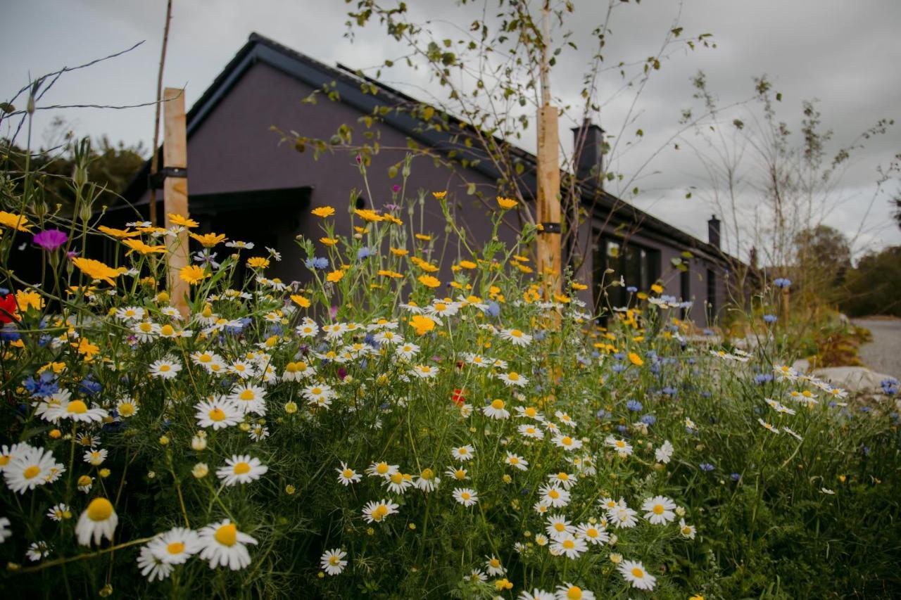 Villa The Deerstone Luxury Eco Hideaway Laragh Exterior foto