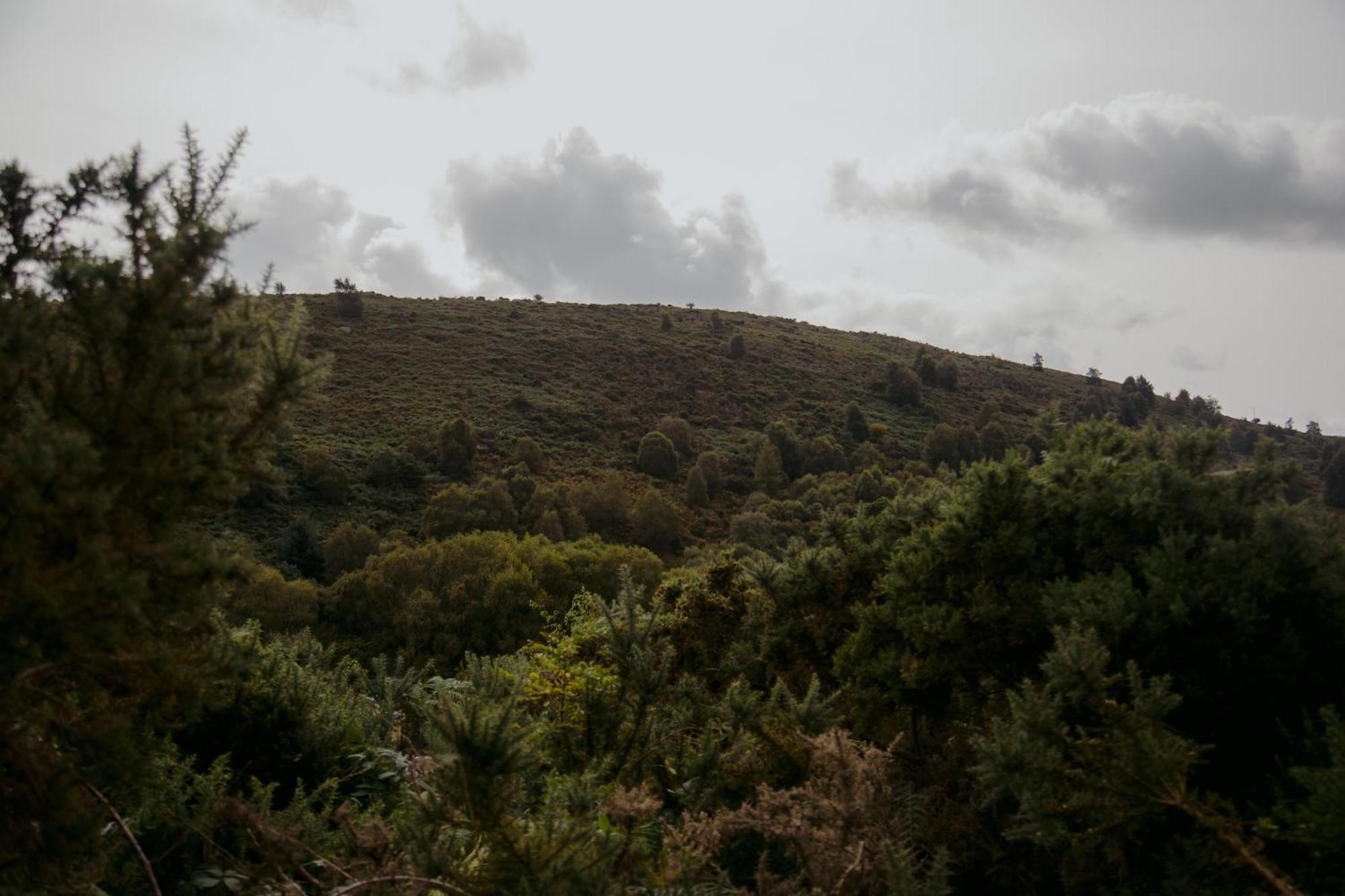 Villa The Deerstone Luxury Eco Hideaway Laragh Exterior foto