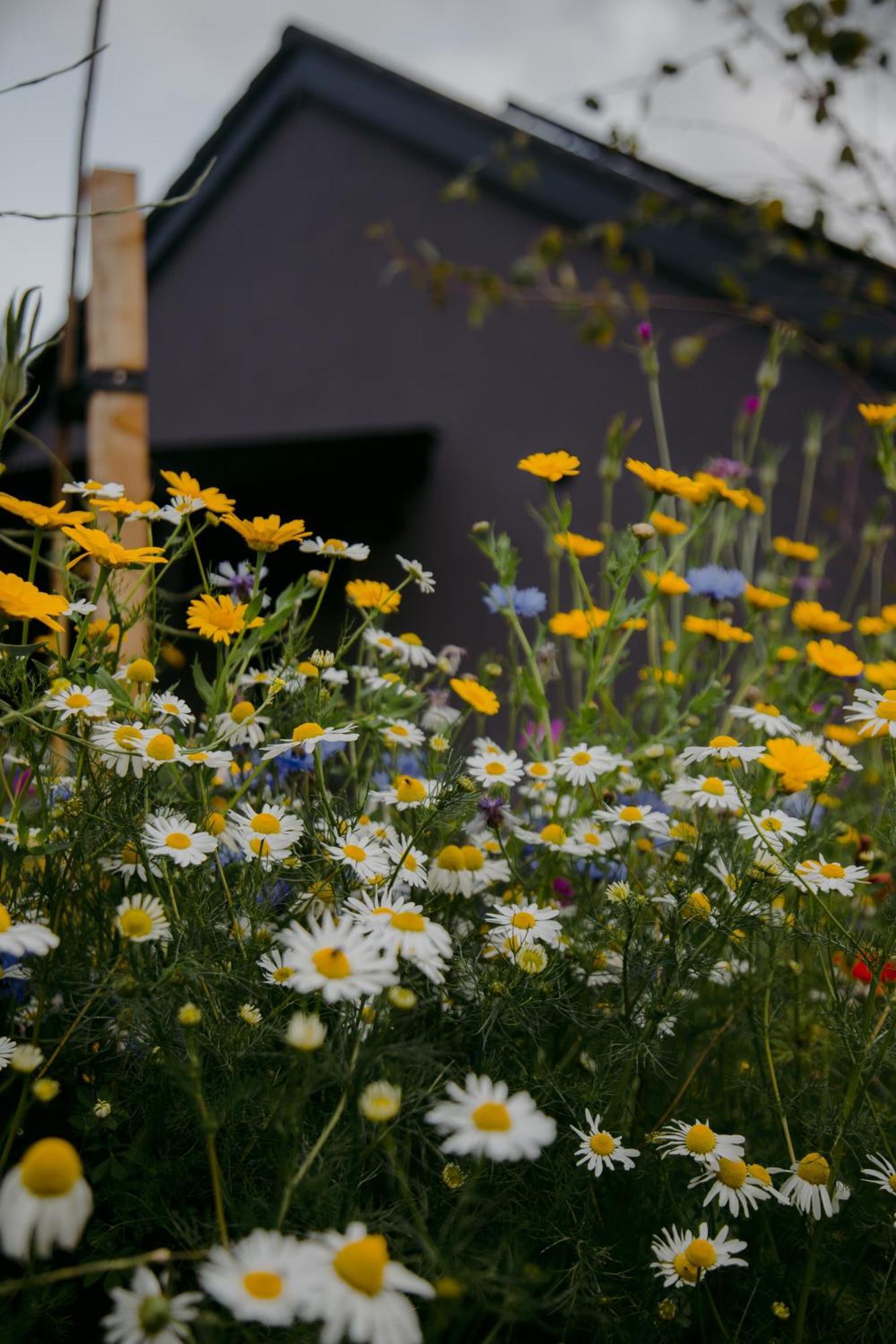 Villa The Deerstone Luxury Eco Hideaway Laragh Exterior foto