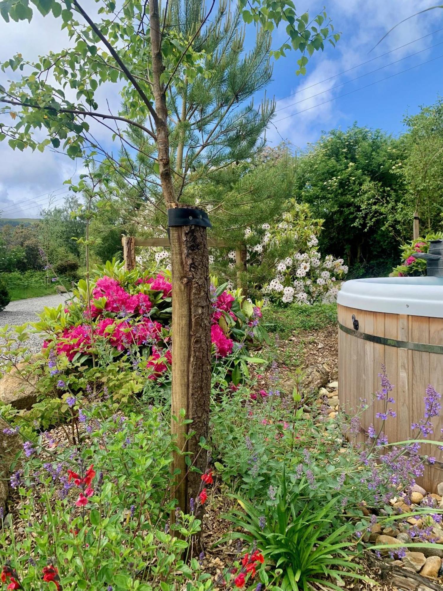 Villa The Deerstone Luxury Eco Hideaway Laragh Exterior foto